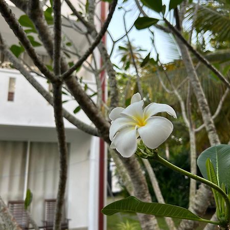 Jippie The Villa Hikkaduwa Exterior photo